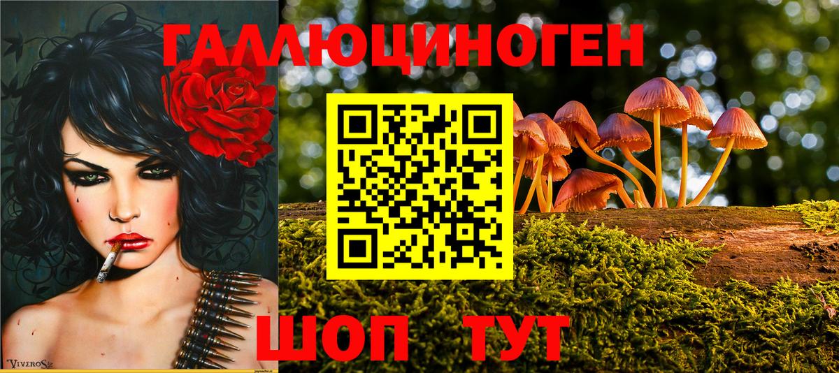 Псилоцибиновые грибы мицелий Мурманск