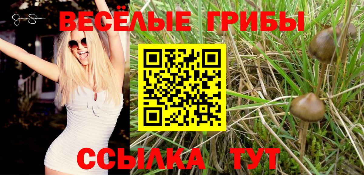 Псилоцибиновые грибы MAGIC MUSHROOMS  дарнет шоп  Галлюциногенные грибы ЛСД  Мурманск  Вход с VPN 